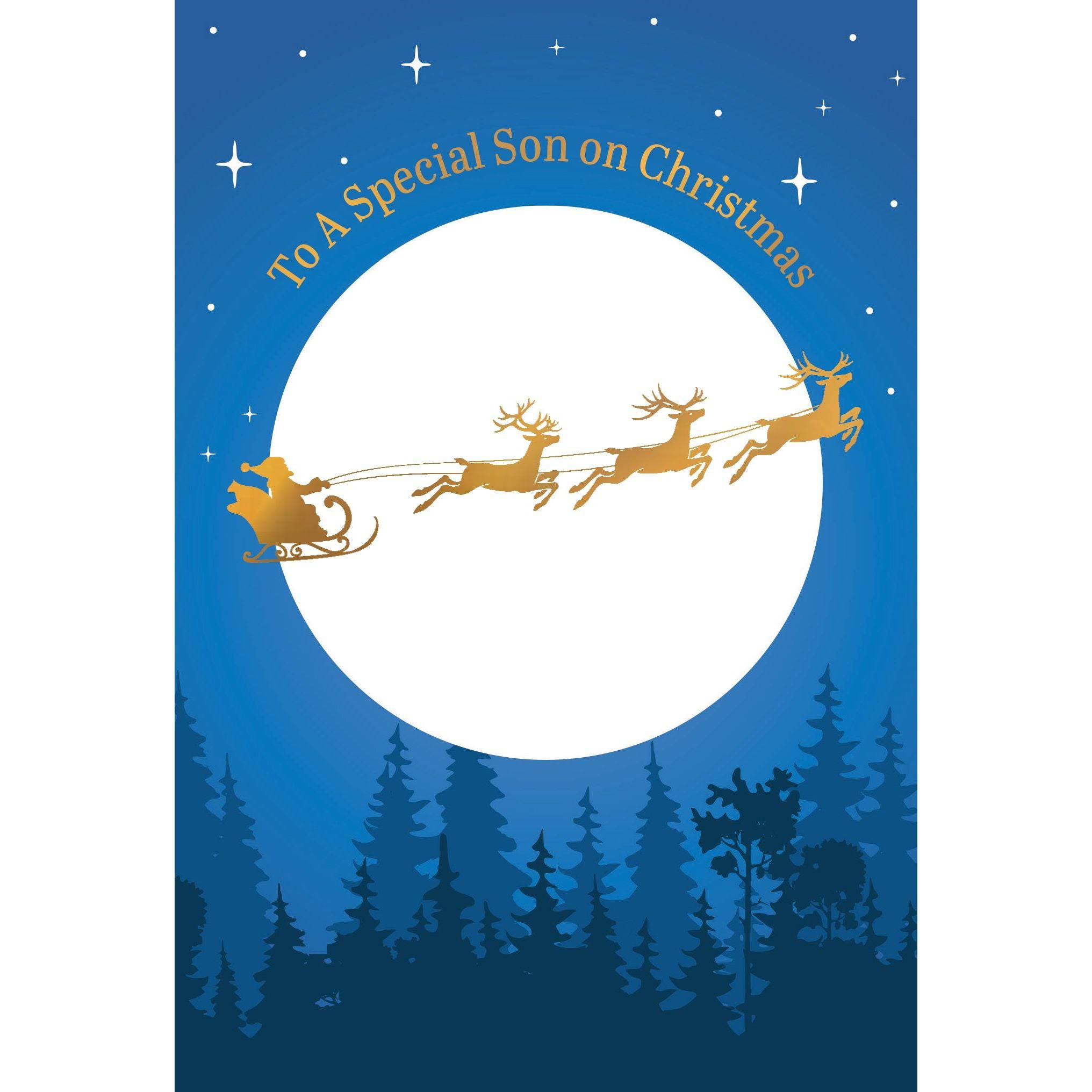Pictura Santa Sleigh Ride Christmas card for son, featuring festive holiday scene with Santa in a sleigh, seasonal design.